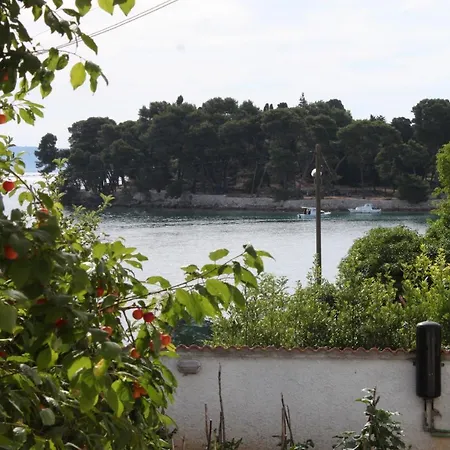 Apartment Family Friendly Seaside Preko, Ugljan - 8232